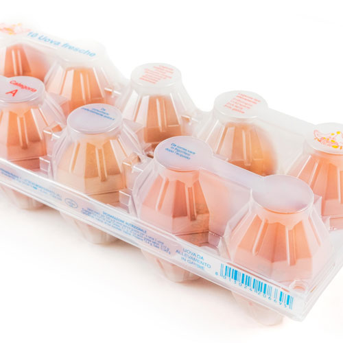 Porta uova in plastica, capacita' 8 uova